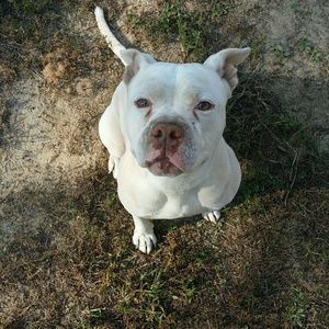 Meet your Posher, William